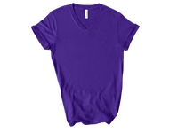 In My Waitlisted Era Plain V-Neck Printed Tee