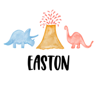 Boy Dinosaurs Printed Shirt