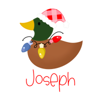 Christmas Duck With Lights Printed Shirt