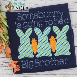 Personalized Somebunny Is Going To Be A Big Brother Applique Colored Garment