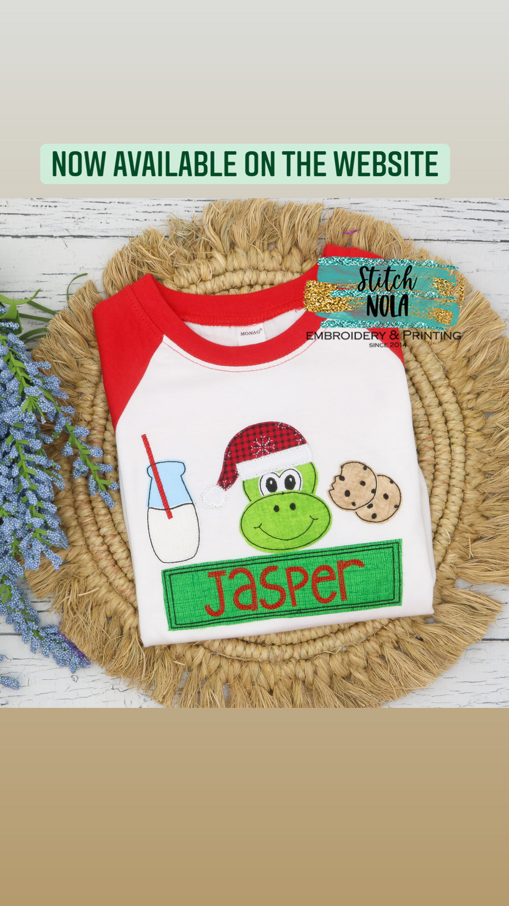 Personalized Santa Dinosaur with Milk and Cookies Applique Shirt