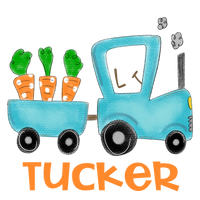 Personalized Easter Tractor With Carrots Printed Shirt
